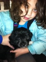 Hariti and Alice